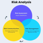 Risk analysis dashboard showing data visualizations and portfolio-level metrics